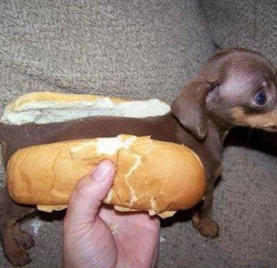 Hot-dog